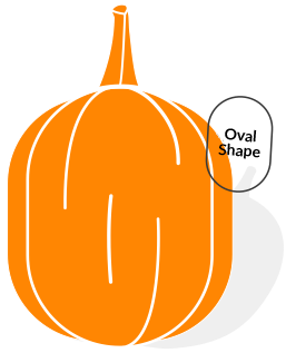 Oval-Shaped Pumpkin