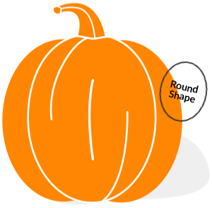 Round-Shaped Pumpkin